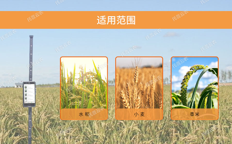 稻麦株高测量仪适用范围