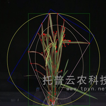 盆栽植物二维数字表型采集分析系统