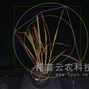 温室型高通量植物表型采集分析平台