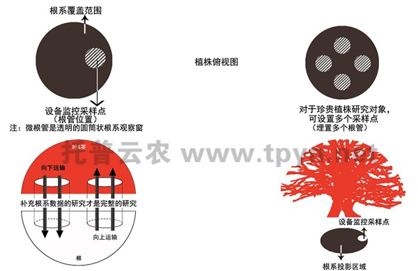 根系显微生长监测系统